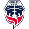 คะแนน-ลีก-โคลอมเบีย : Liga Women-ทีม-สโมสร-Fortaleza W-ผลคะแนนรวมทั้งหมด