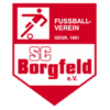 Borgfeld