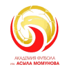 Akademiy Futbola