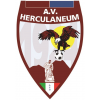 Vesuvio Ercolanese