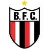 คะแนน-ลีก-บราซิล : Copa Sao Paulo de juniores-ทีม-สโมสร-Botafogo SP U20-ผลคะแนนรวมทั้งหมด