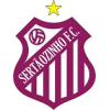 คะแนน-ลีก-บราซิล : Copa Sao Paulo de juniores-ทีม-สโมสร-Sertaozinho U20-ผลคะแนนรวมทั้งหมด