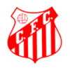 คะแนน-ลีก-บราซิล : Copa Sao Paulo de juniores-ทีม-สโมสร-Capivariano U20-ผลคะแนนรวมทั้งหมด