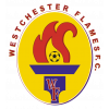 คะแนน-ลีก-สหรัฐอเมริกา : USL League Two-ทีม-สโมสร-Westchester-ผลคะแนนรวมทั้งหมด