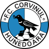 FC Hunedoara
