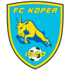 Koper W