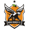 คะแนน-ลีก-บราซิล : Copa Sao Paulo de juniores-ทีม-สโมสร-Nova Iguacu U20-ผลคะแนนรวมทั้งหมด