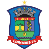 คะแนน-ลีก-บราซิล : Campeonato Capixaba-ทีม-สโมสร-Linhares-ผลคะแนนรวมทั้งหมด