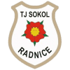 Sokol Radnice