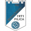 Buducnost Pilica