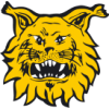 คะแนน-ลีก-ฟินแลนด์ : Kansallinen Liiga Women-ทีม-สโมสร-Ilves W-ผลคะแนนรวมทั้งหมด