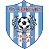 Fokikos FC