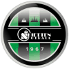 Skjetten