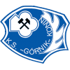 Gornik Konin