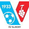 Vajnory